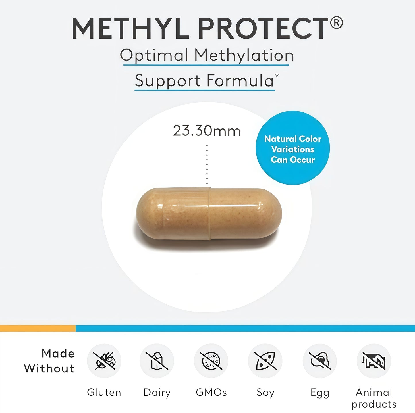 Methyl Protect® 120 Capsules